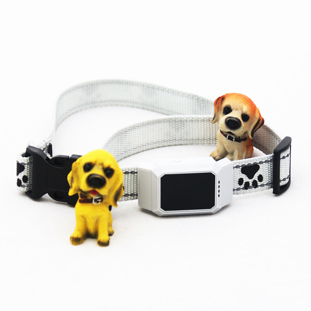 Pet Collar GPS Locator