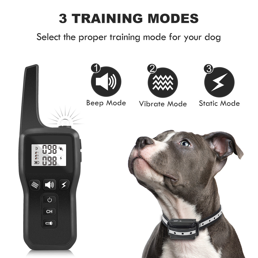 Remote Control Pet Training Device