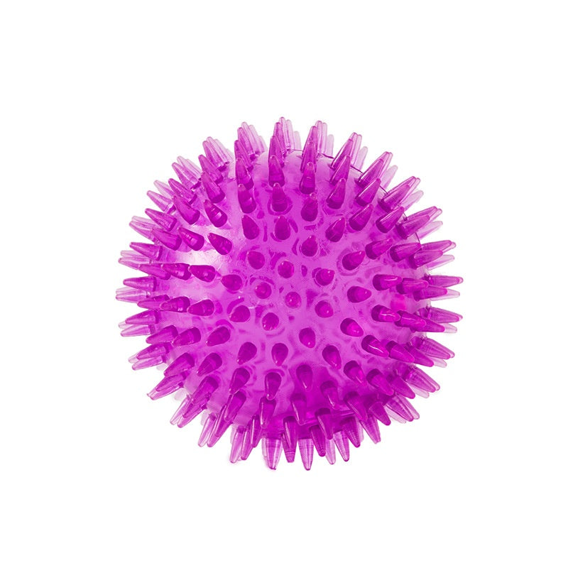 Dog Toy Ball
