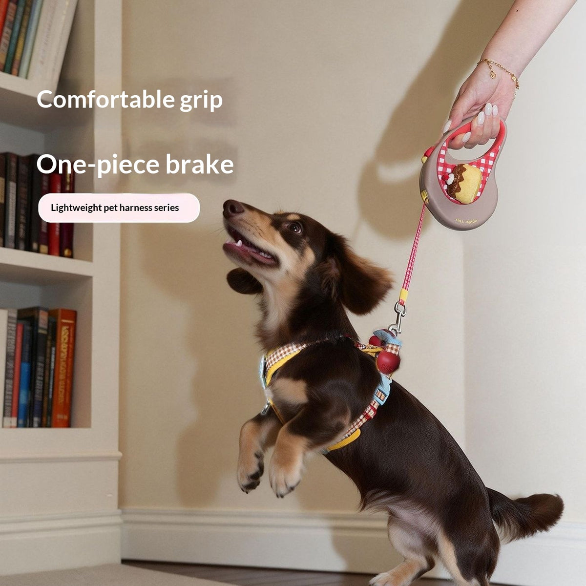 Small And Medium-Sized Dogs In Traction Rope