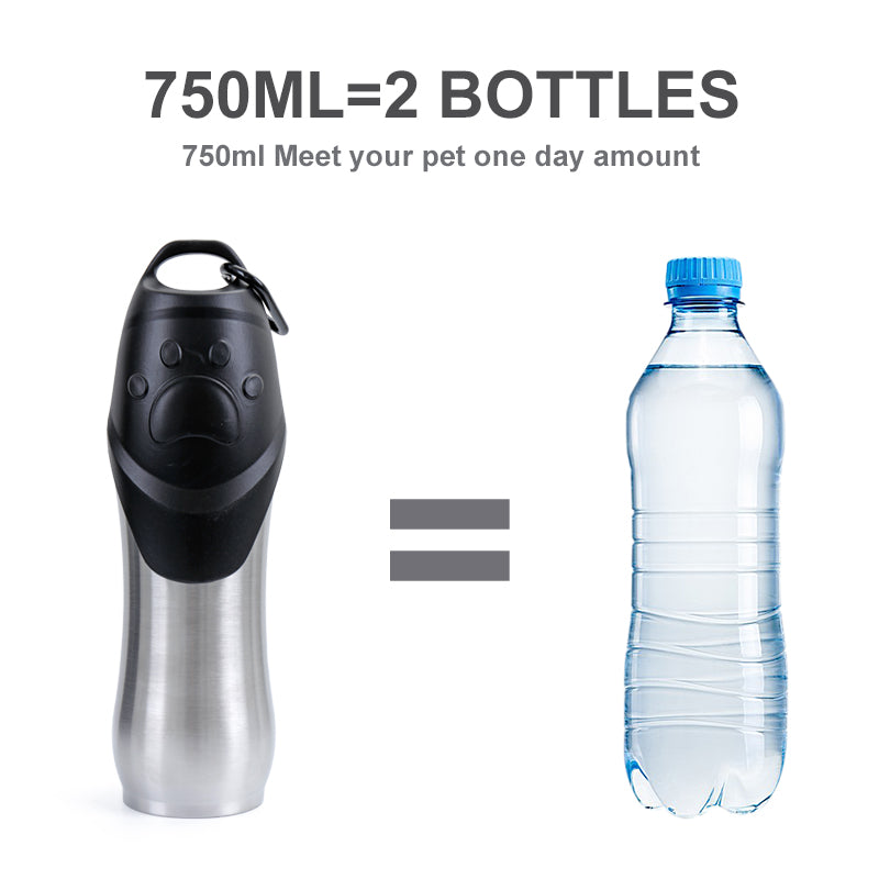 Stainless Steel Pet Water Bottle