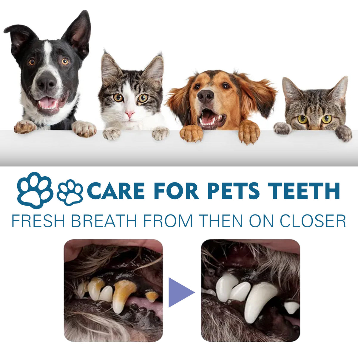 Pet Oral Spray for Teeth and Breath