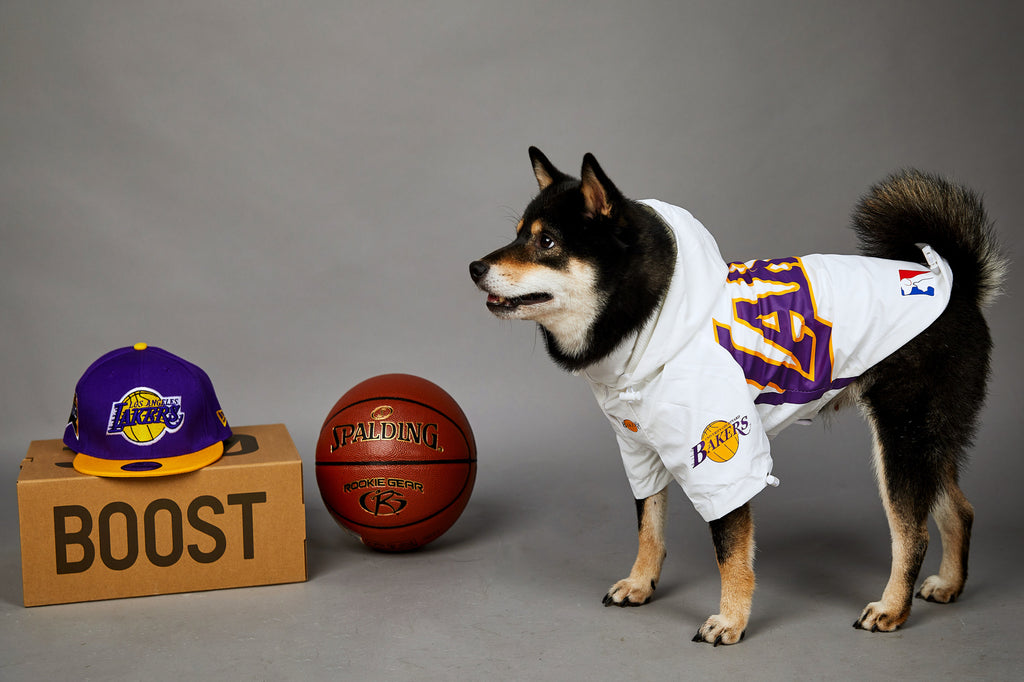 Polyester Dog Shell Jacket