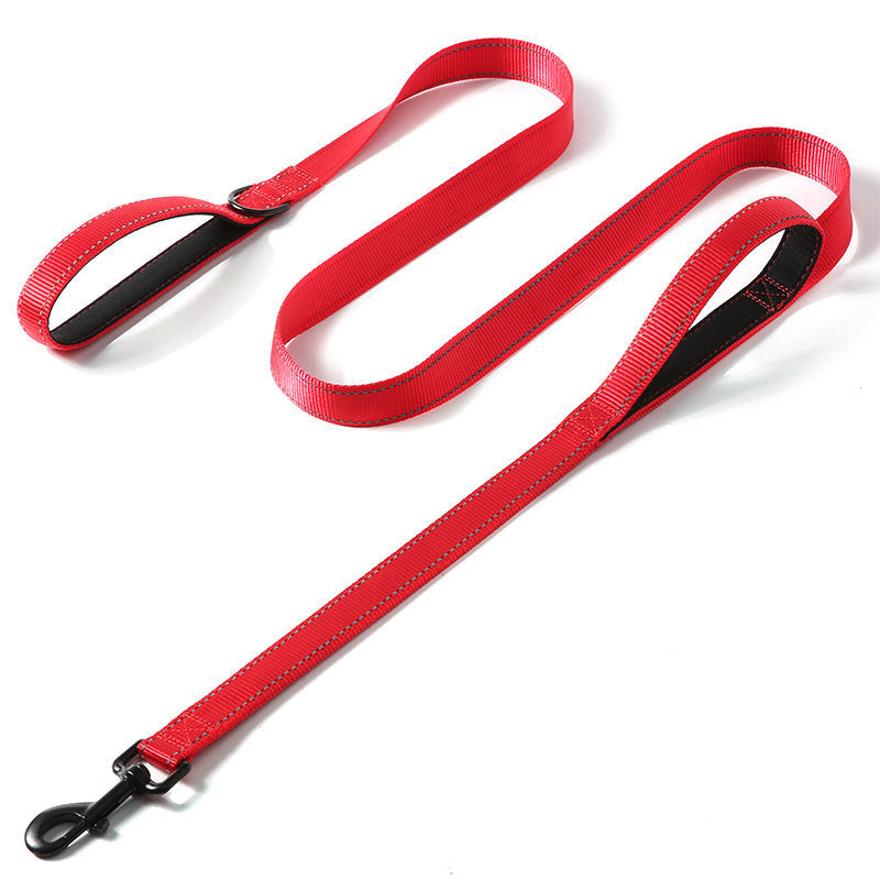 Reflective Nylon Leash for Medium to Large Dogs