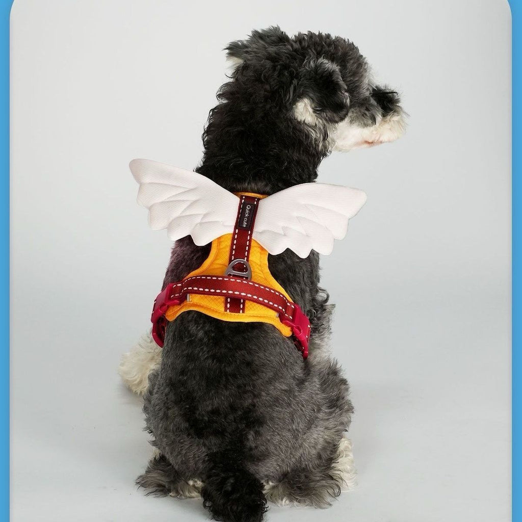 3D Wings Dog Harness With Leash Option