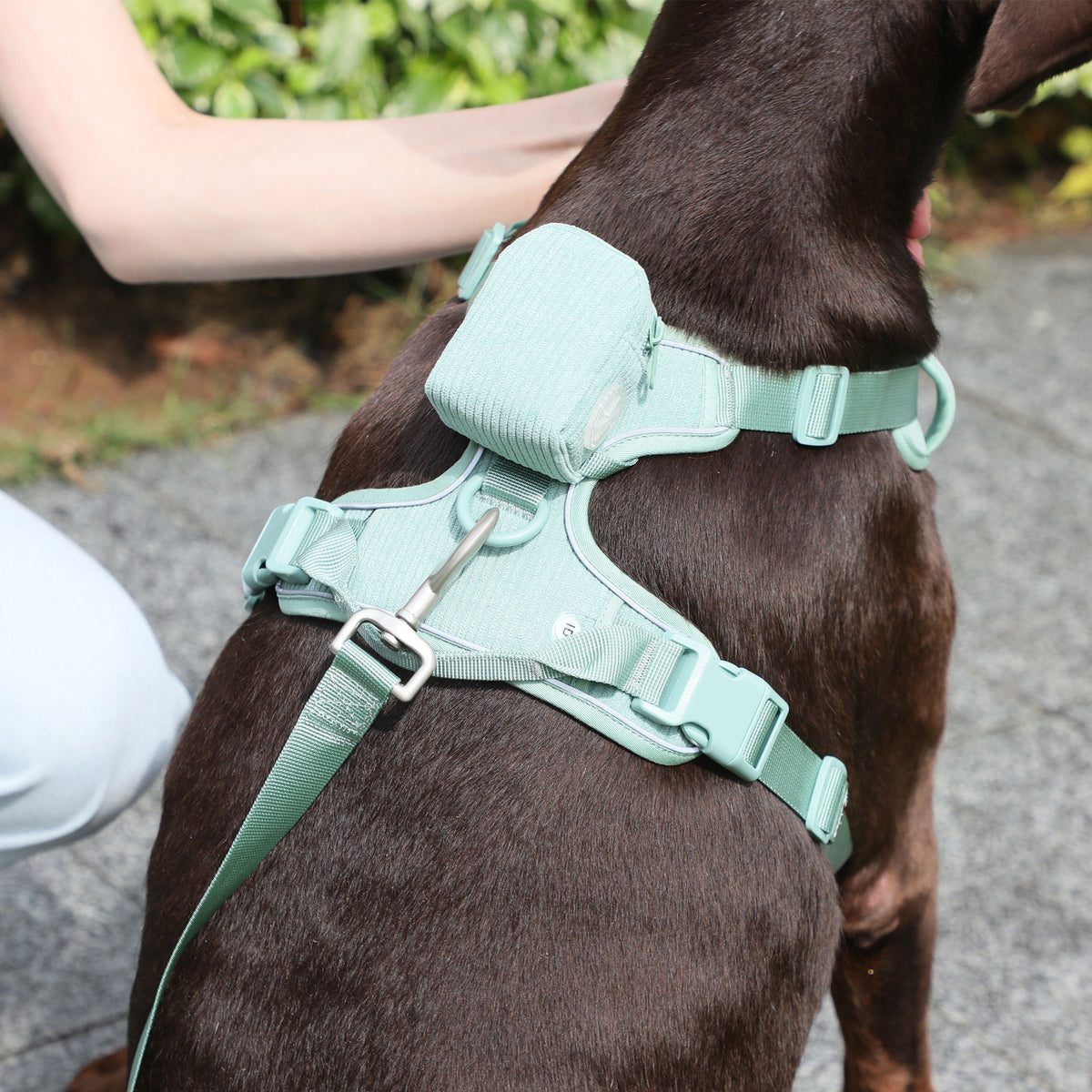 Pet Collar Explosion-Proof Dog Vest With Collar Haulage Rope Package