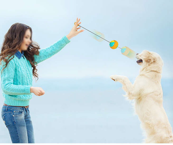 Draw Rope Dog Throwing Ball