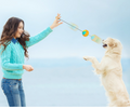 Draw Rope Dog Throwing Ball