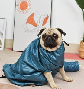 Automatic Drying Bag With Hair Dryer