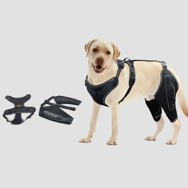 Polyester Protective Gear Strap