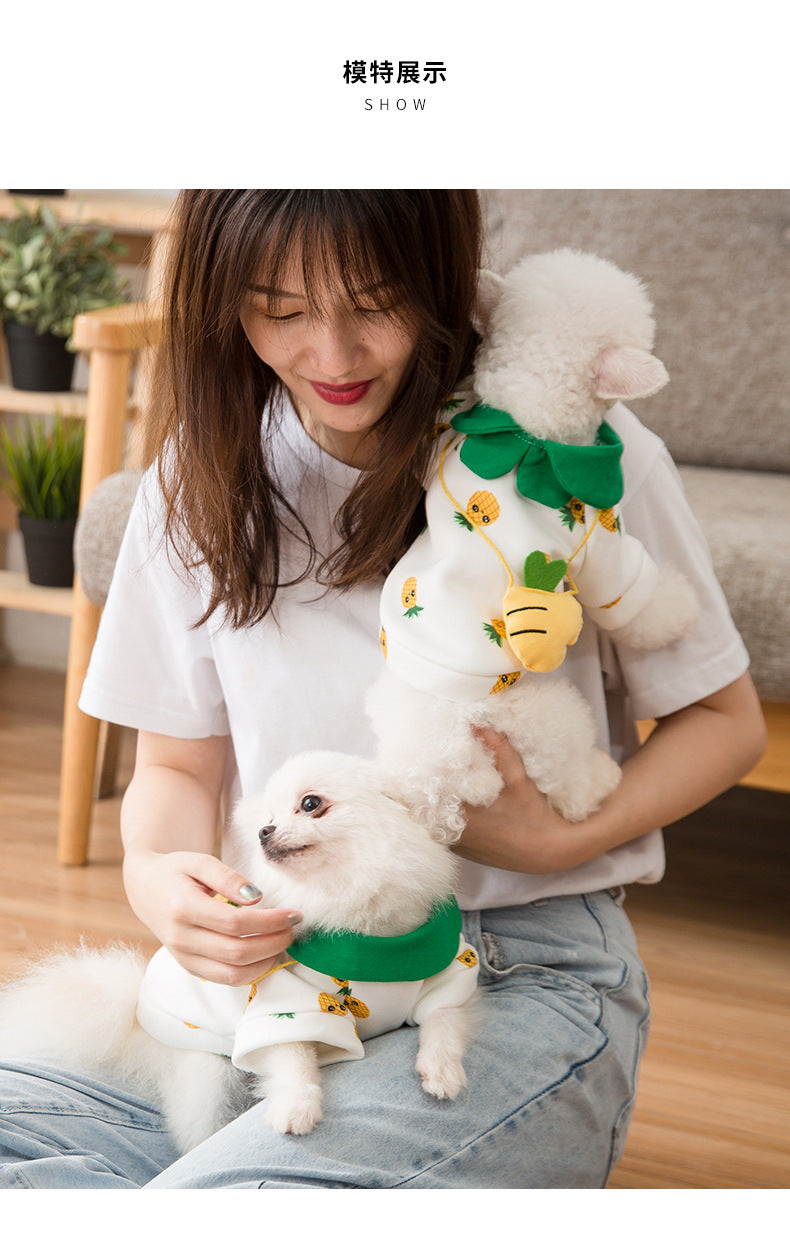 Pineapple Backpack Dog Clothes Pet Cute Breathable