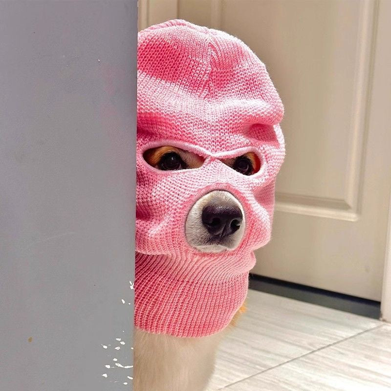 Corgi Puppy Dog Headgear Hat