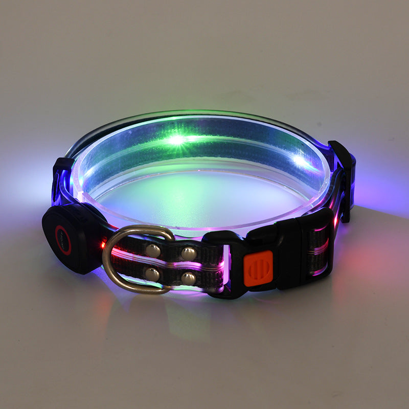 Rechargeable LED Collar and Nylon Leash