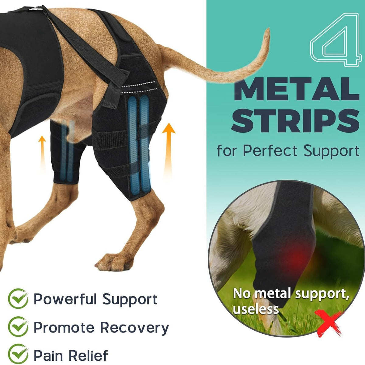 Pet Dog Rear Leg Protective Gear