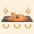 Cozy And Warm Pet Mat For Winter