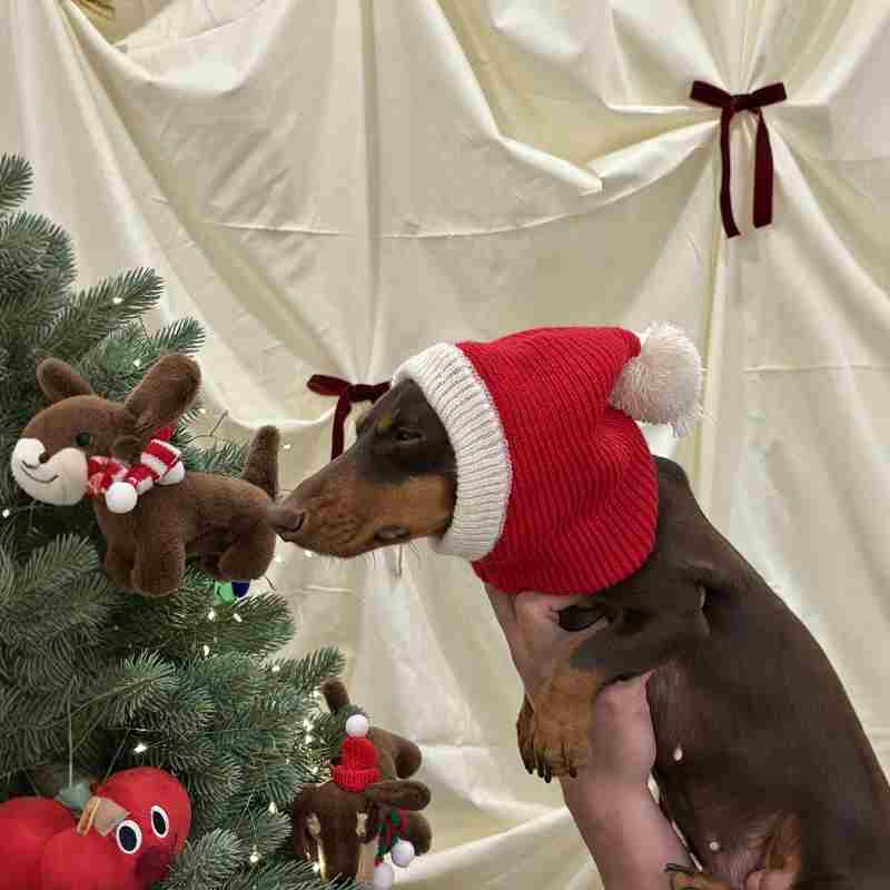Warm Plush Christmas Pet Dress-Up Hat