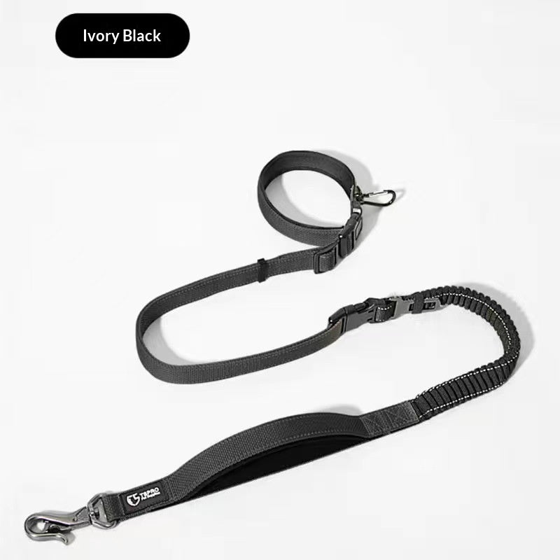 A No-Pull Leash For Large Dogs Is Ideal For Walking And Running With Your Dog