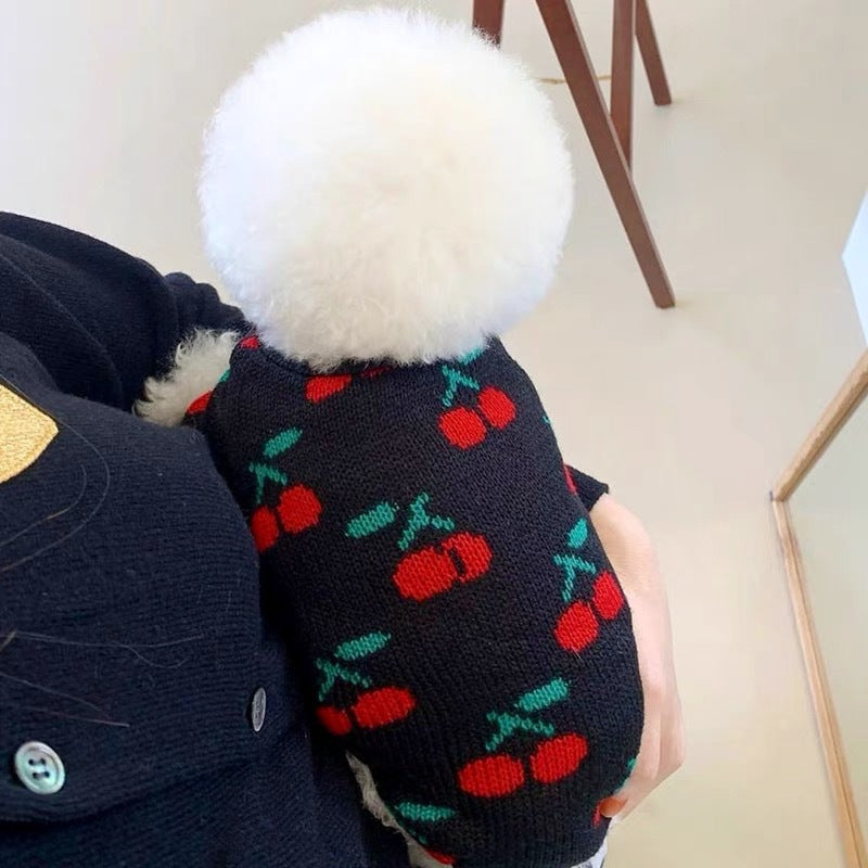 Knitted Sweater for Teddy Bichon Puppies