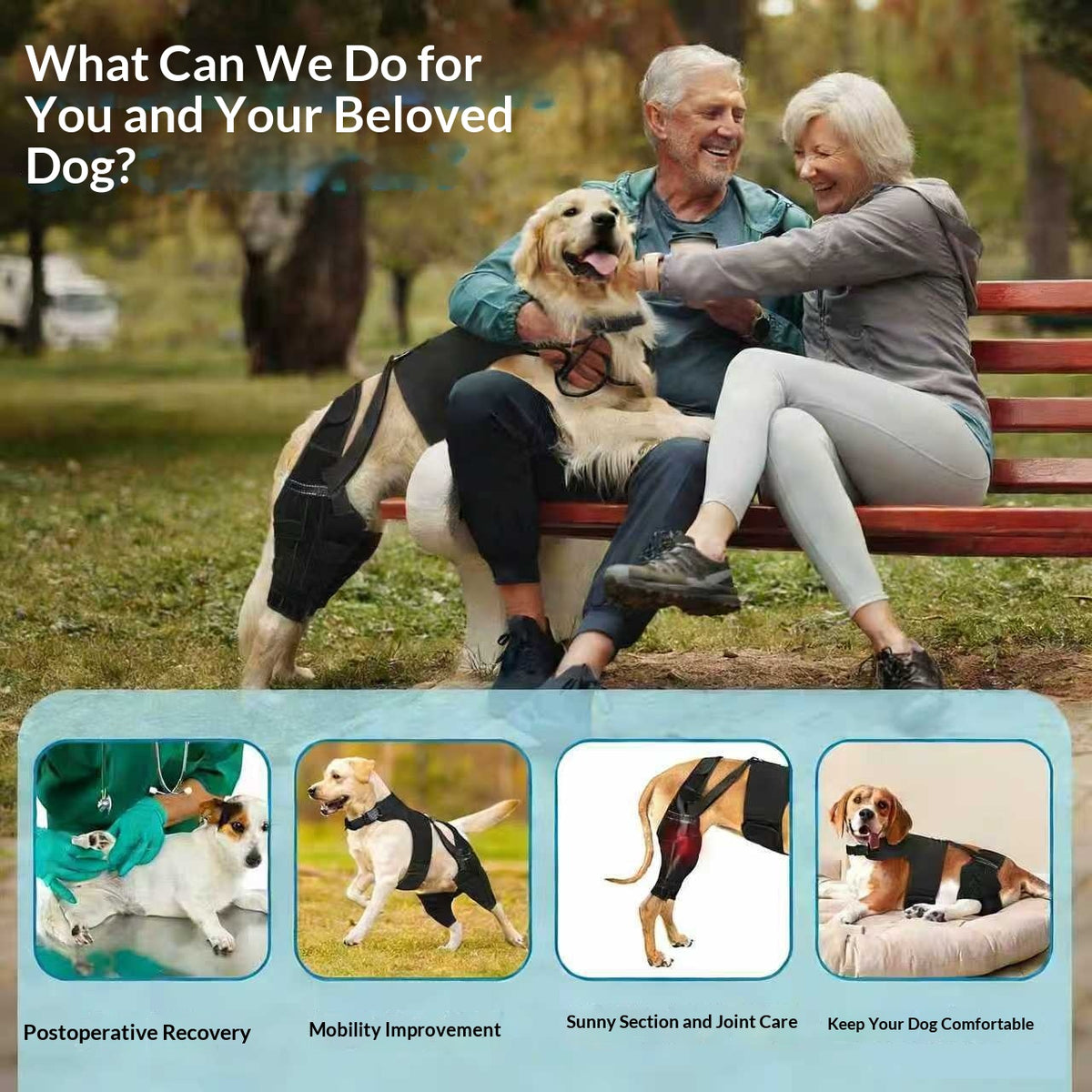 Dog Rear Back And Hind Leg Protective Cover