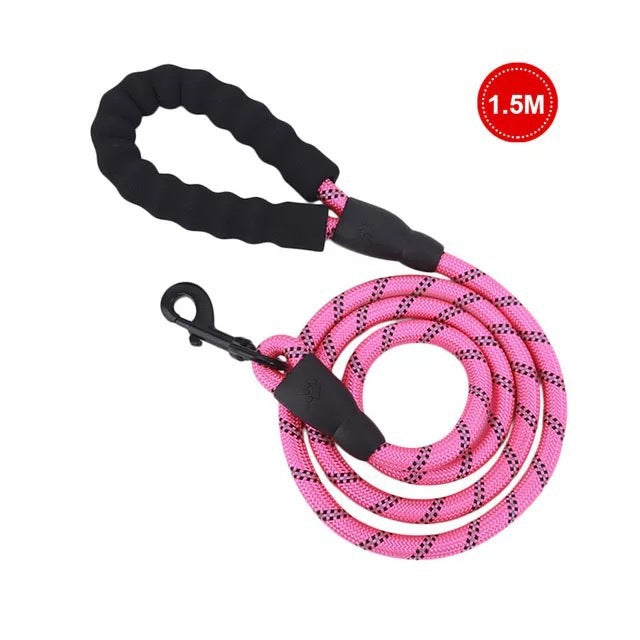 Reflective Nylon Dog Leash