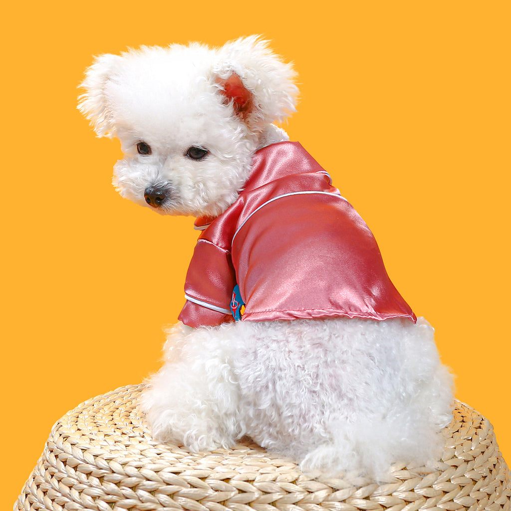 Spring Summer Dog Pajamas