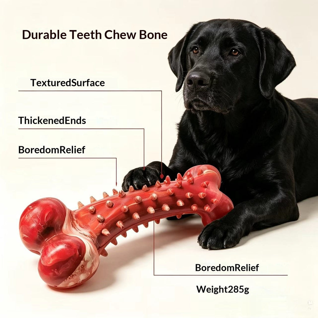 Large Rubber Toothbrush Bone Chew Toy