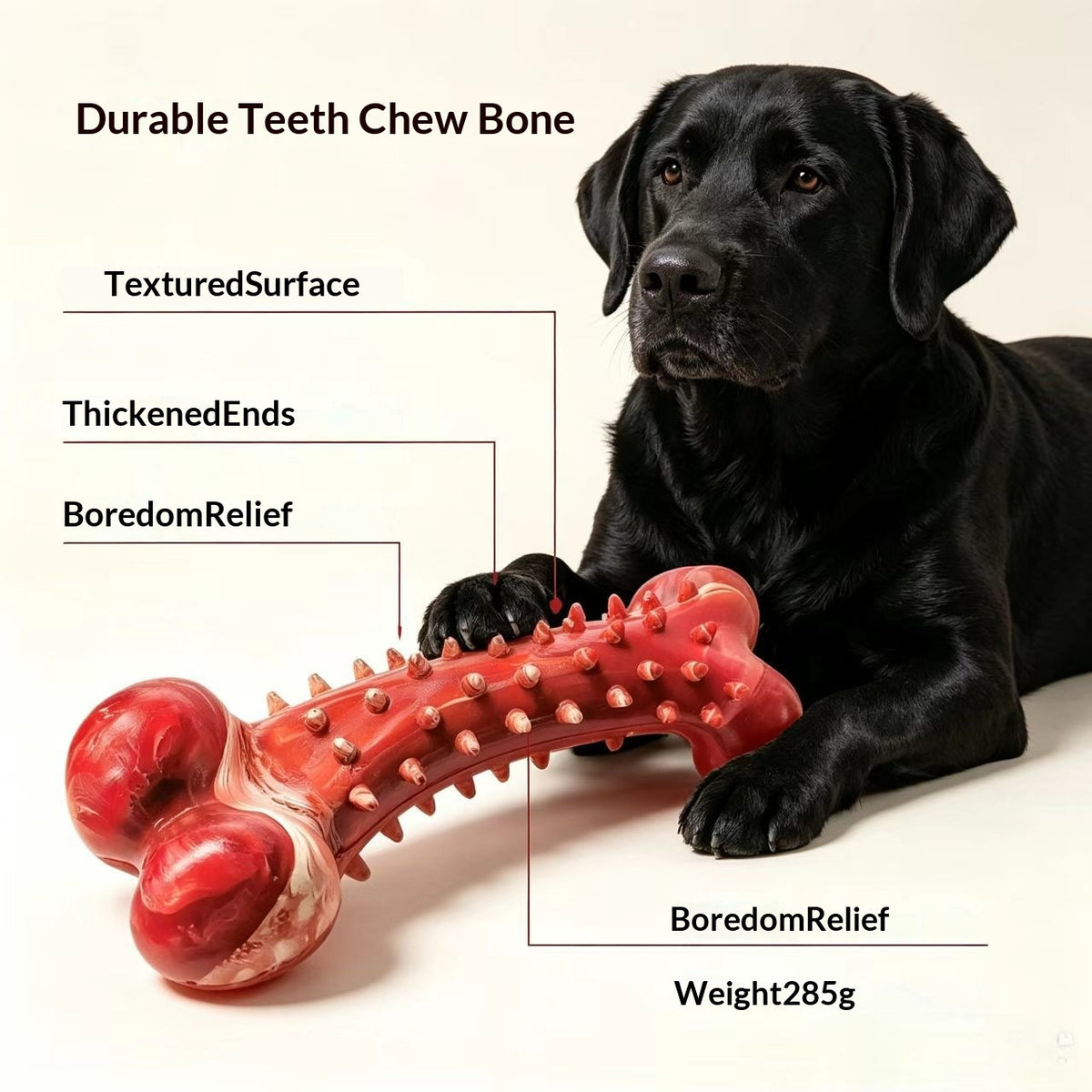 Large Rubber Toothbrush Bone Chew Toy