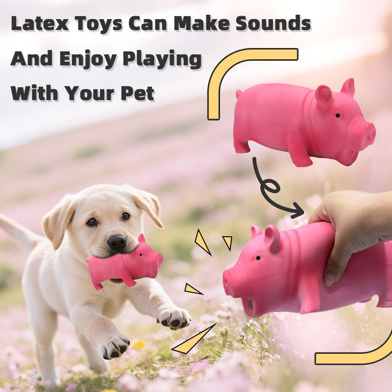 Long-Lasting Dog Molar Chew Toy