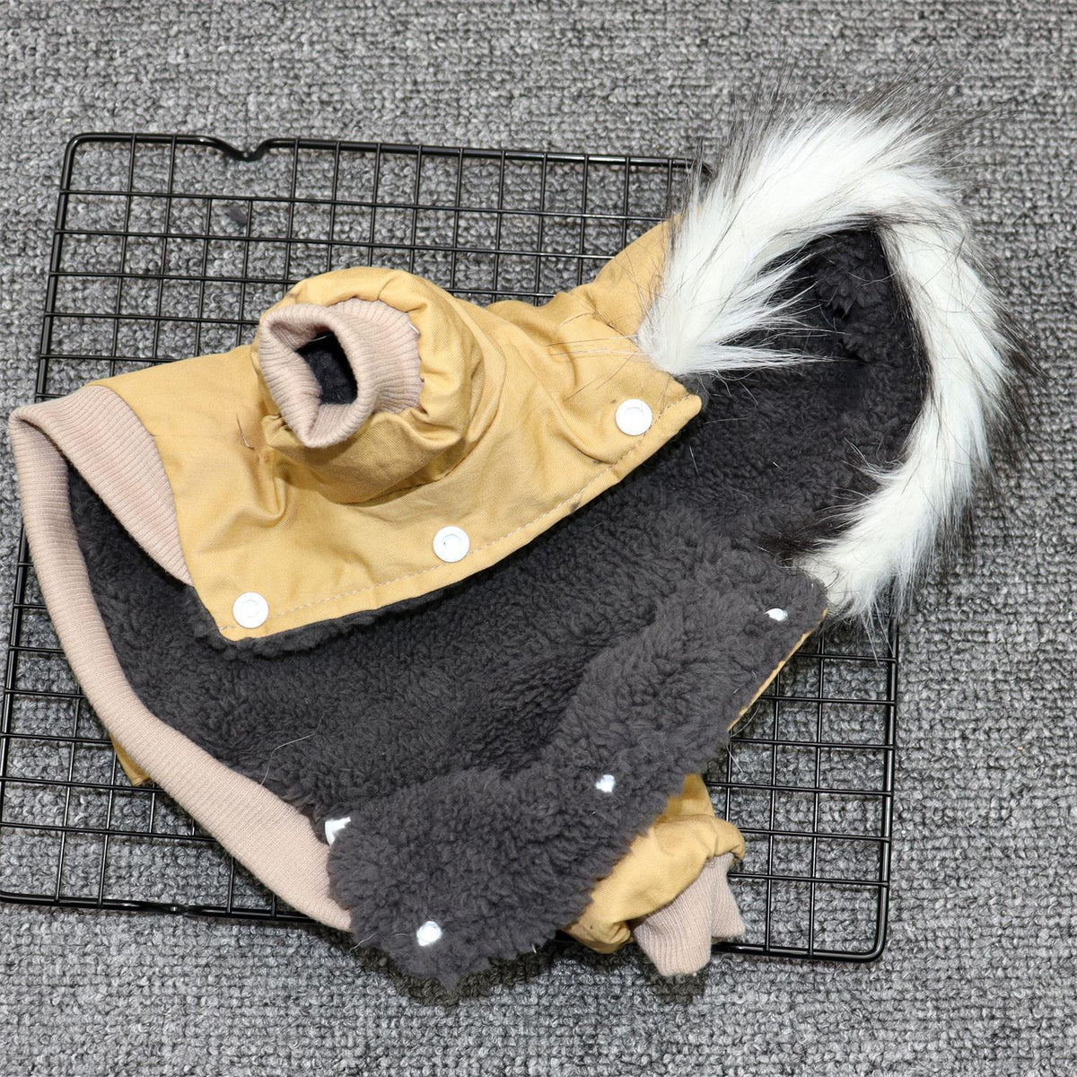 Padded Dog Coat For Small Dogs
