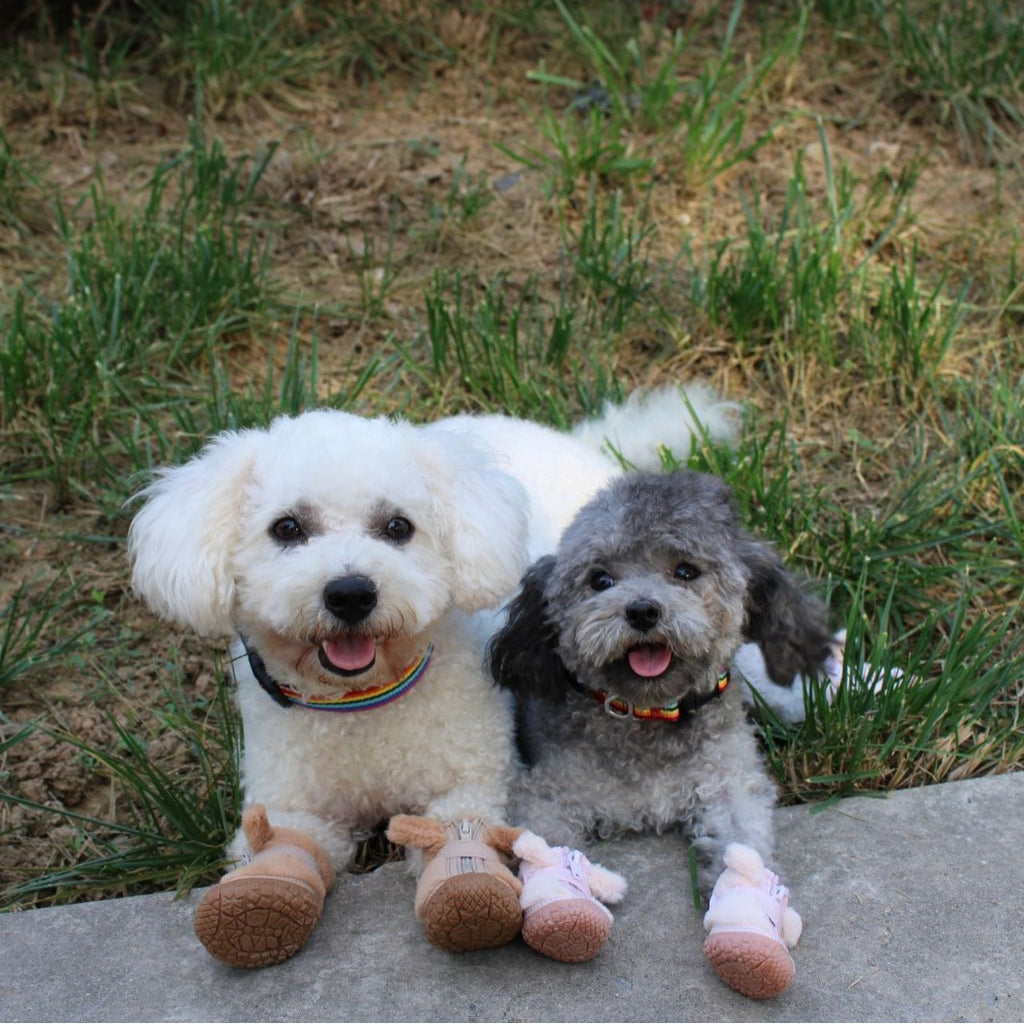 Cute Anti-Slip Winter Booties For Small Dogs