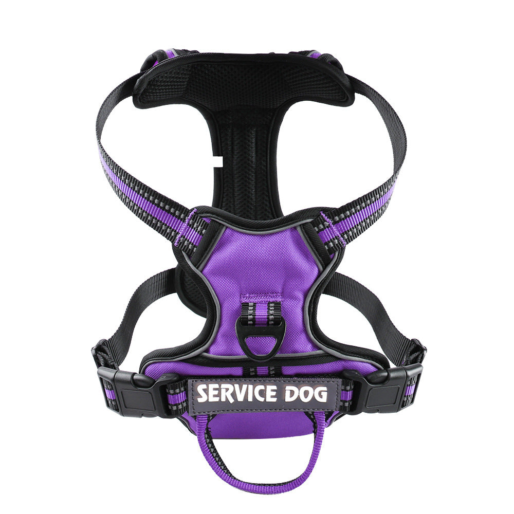 Personalized Oxford Dog Back Strap