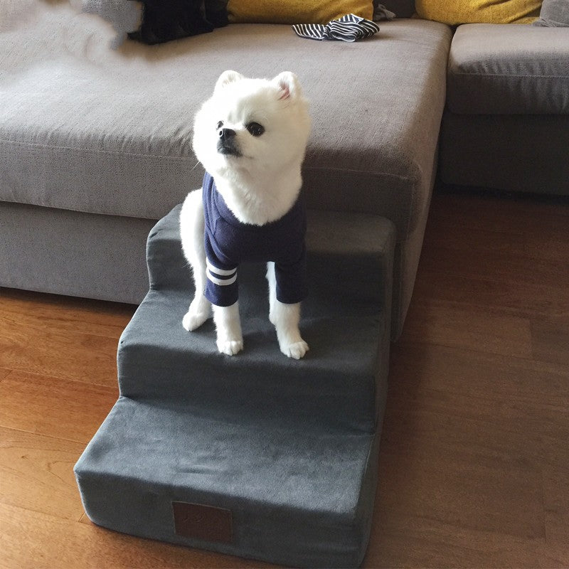 Sponge Dog Stairs To Bed