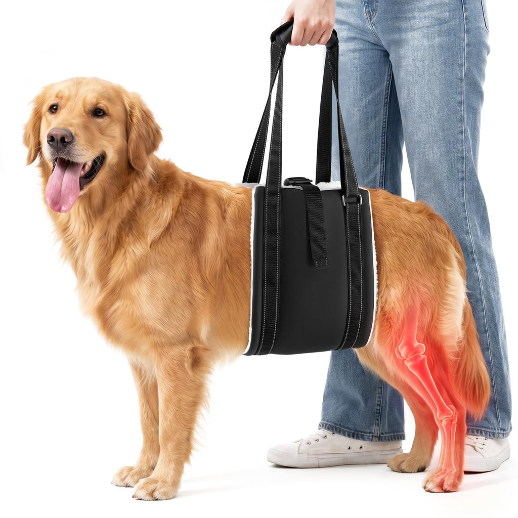 Rear Leg Dog Lift Harness