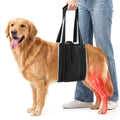 Rear Leg Dog Lift Harness