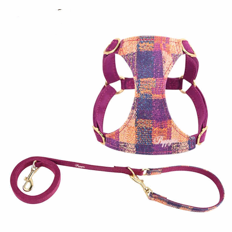 Dog Hand Holding Rope Vest Walking Dog
