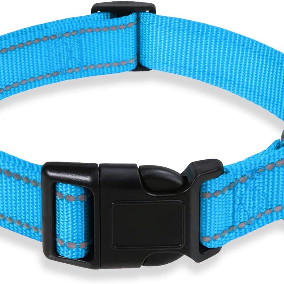 Reflective Dog Running Leash Set Night Running Waist Pack