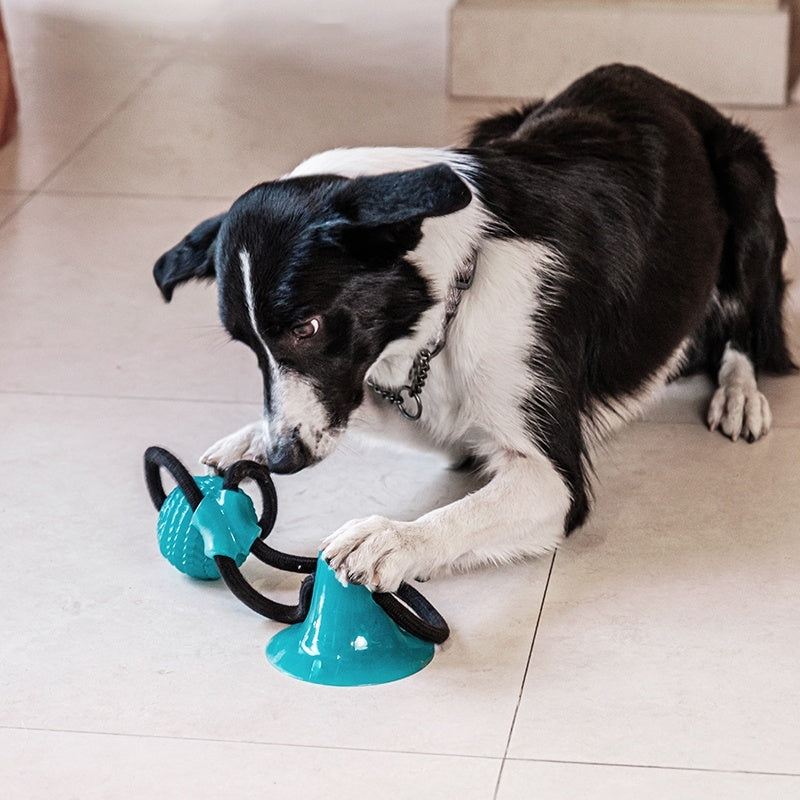 Dog Toy Bite-Resistant Molar Interactive Sucker Spherical Tug Of War String