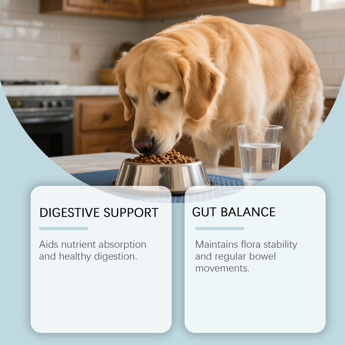 Dog Care Chewable Tablets For All Breeds