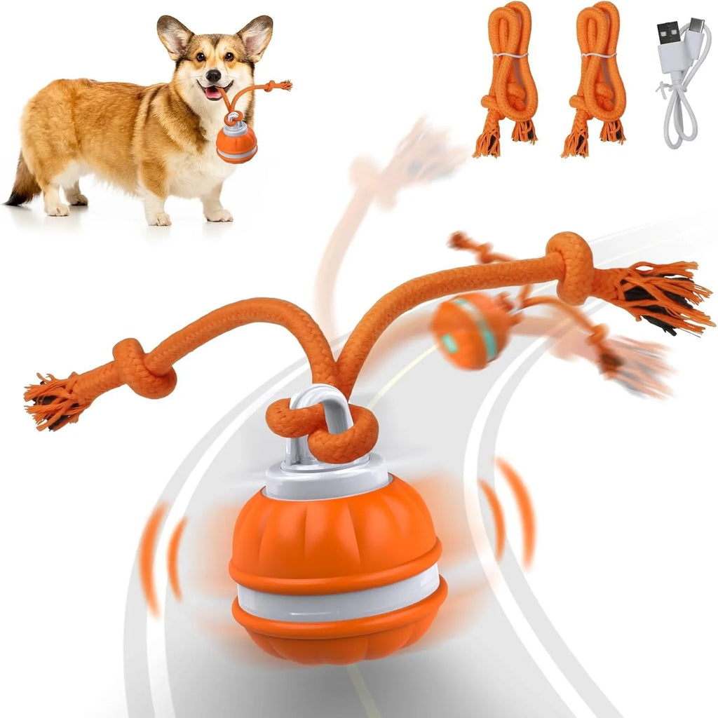 Rechargeable Interactive Rolling Dog Ball