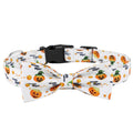 Halloween Dog Collar With Spider And Pumpkin Patterns