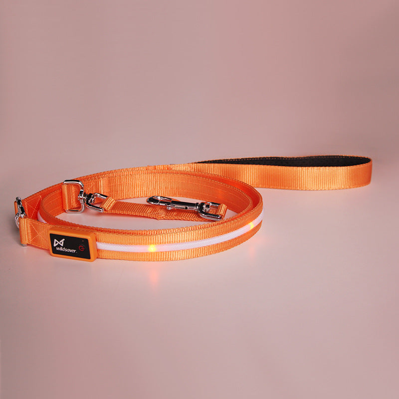 USB Charging Luminous Pet Leash