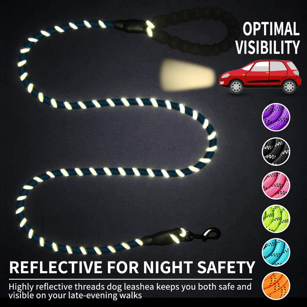 Reflective Nylon Dog Leash