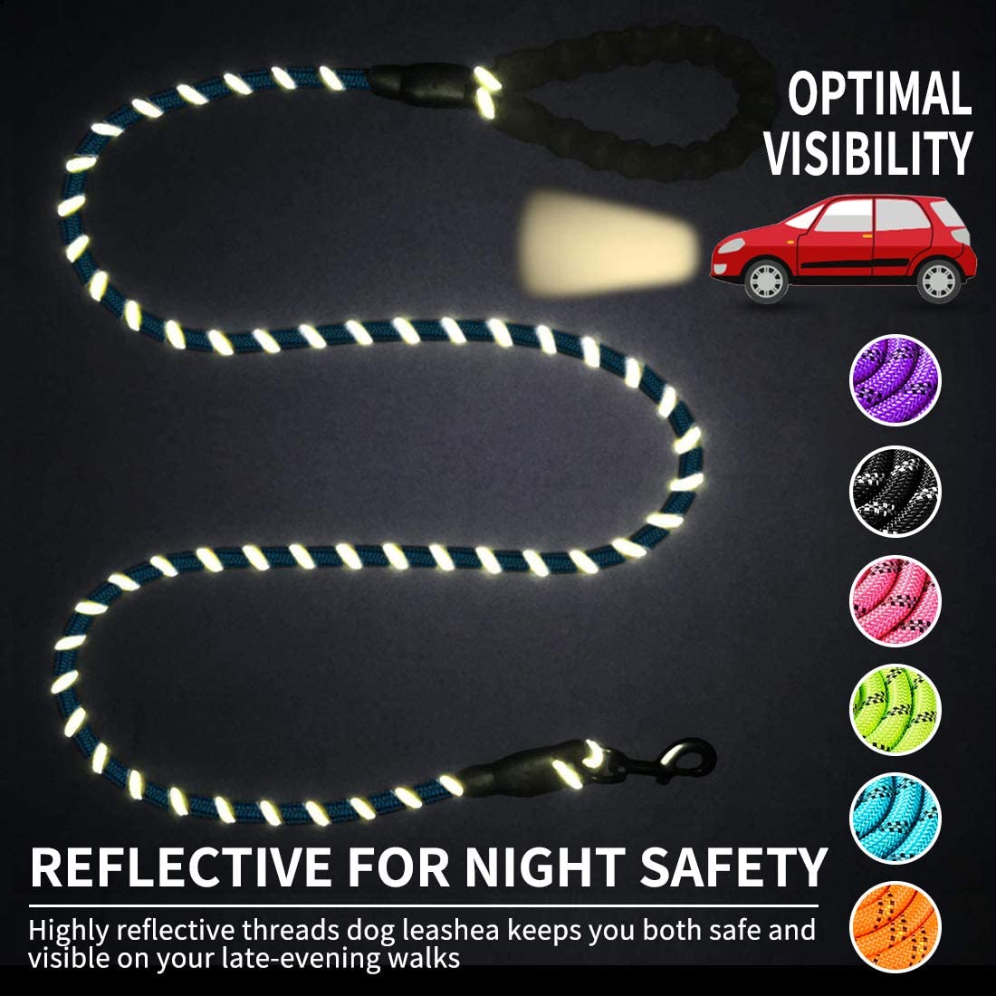 Reflective Nylon Dog Leash