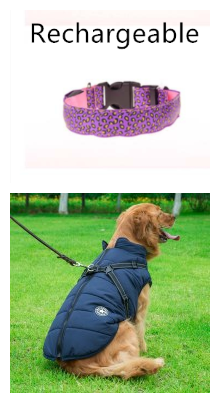 Adjustable LED Leopard Dog Collar