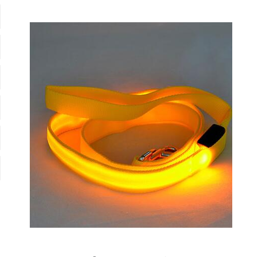 LED Illuminated Nylon Pet Leash