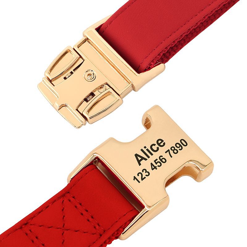 Small Corgi Dog Collar