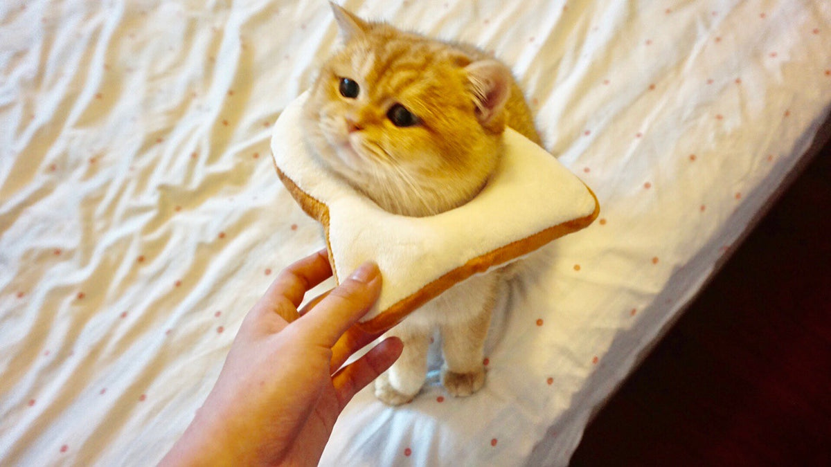 British Short Puppet Cute Bread Slice Cartoon Headgear