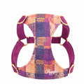 Dog Hand Holding Rope Vest Walking Dog