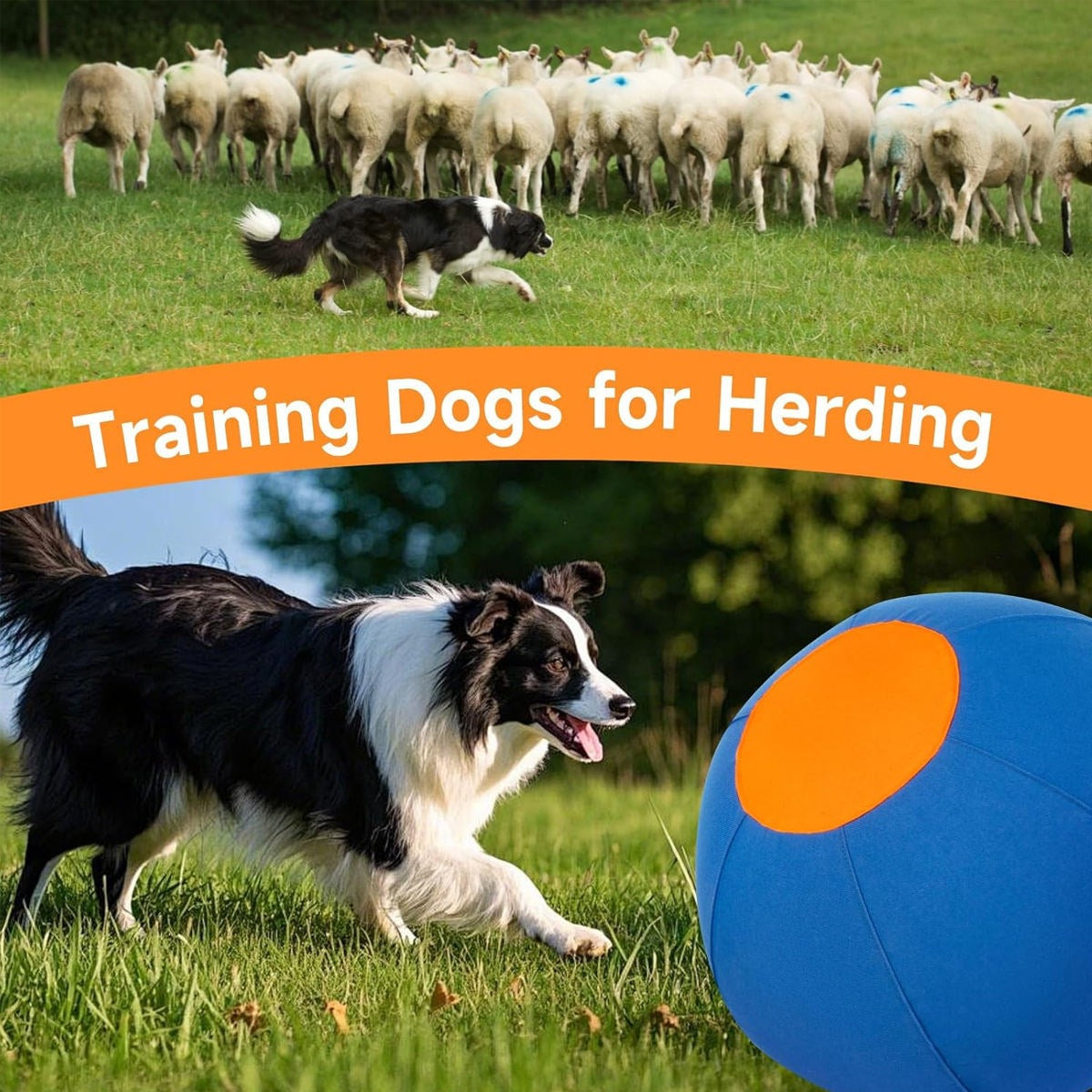 Outdoor Pet Toy Training Inflatable Self-Throwing Ball