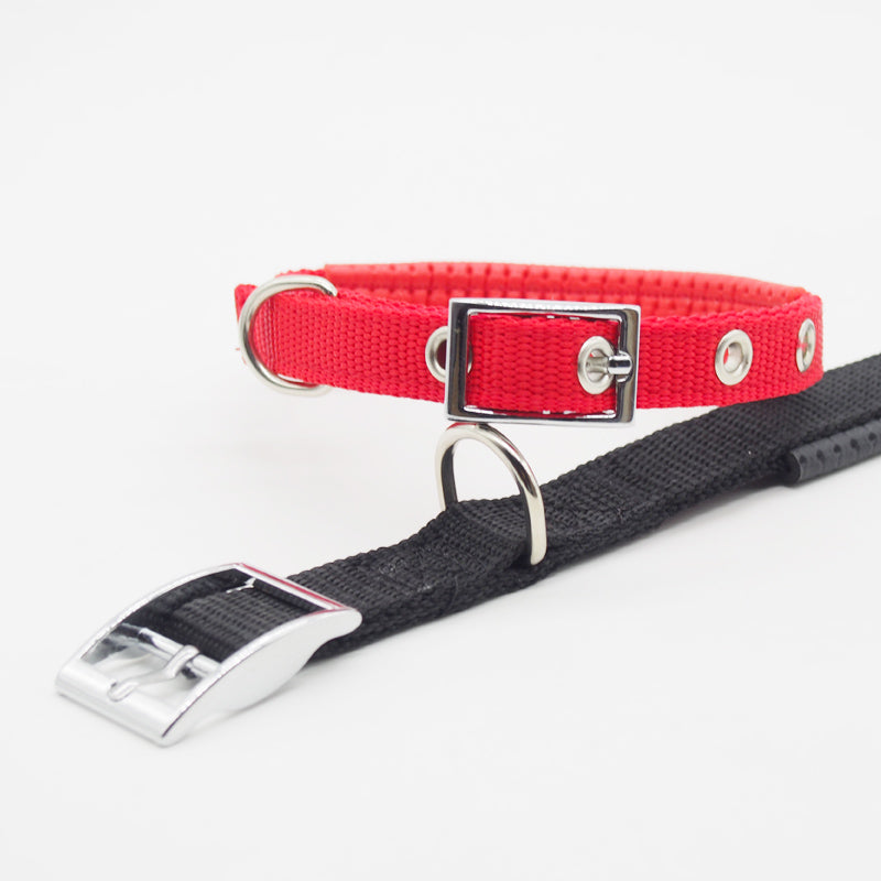 Dog Collars For Medium And Large Dogs